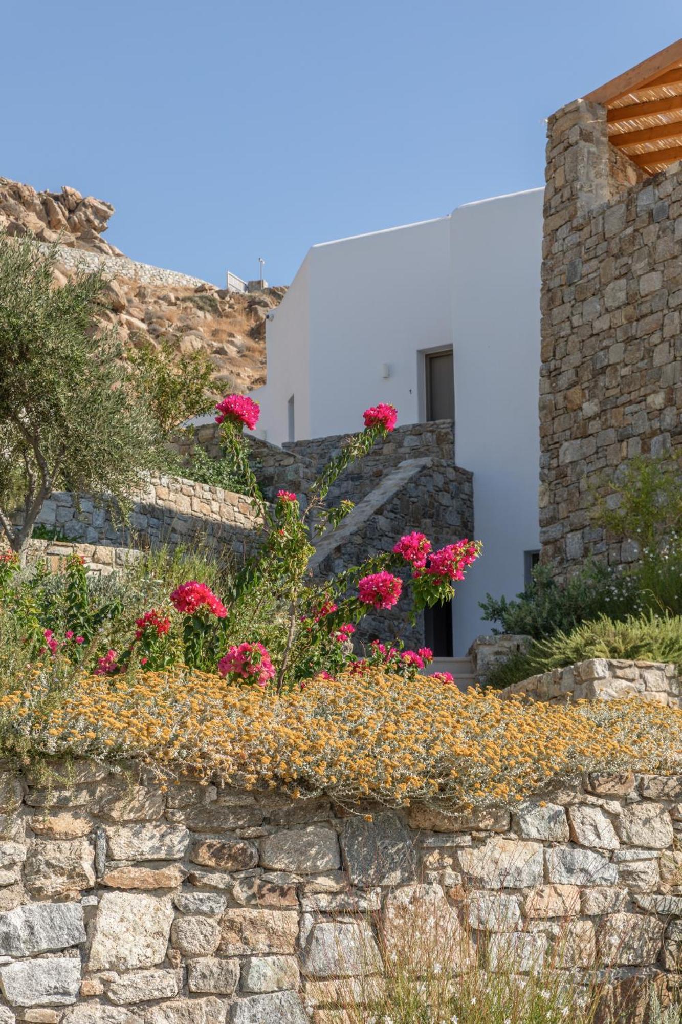 Calma Suites Mykonos Псару Екстериор снимка